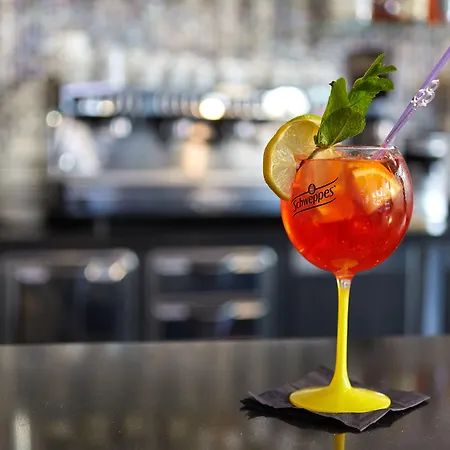 Roissy Hotel Lourdes