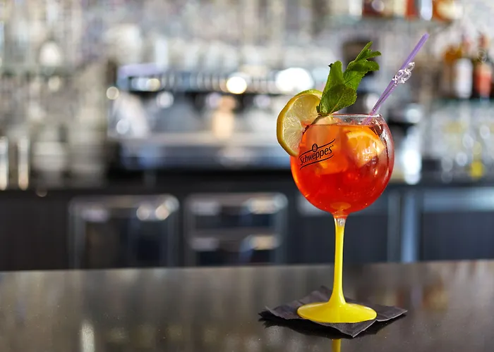 Roissy Hotel Lourdes